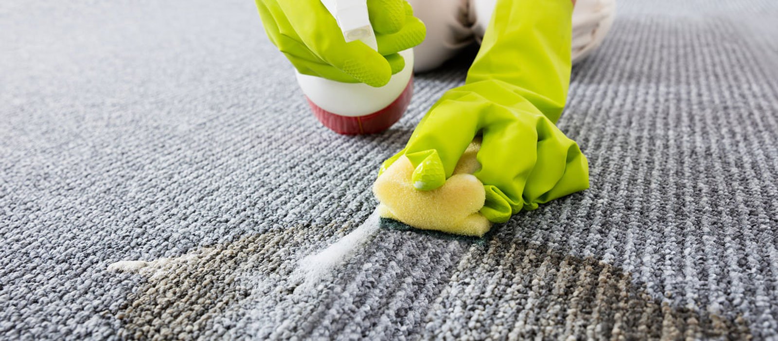 carpetcleaningservices T & D Cleaning